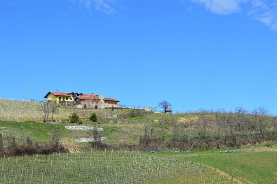Agriturismo Cascina Rabalot Diano dʼAlba Dış mekan fotoğraf