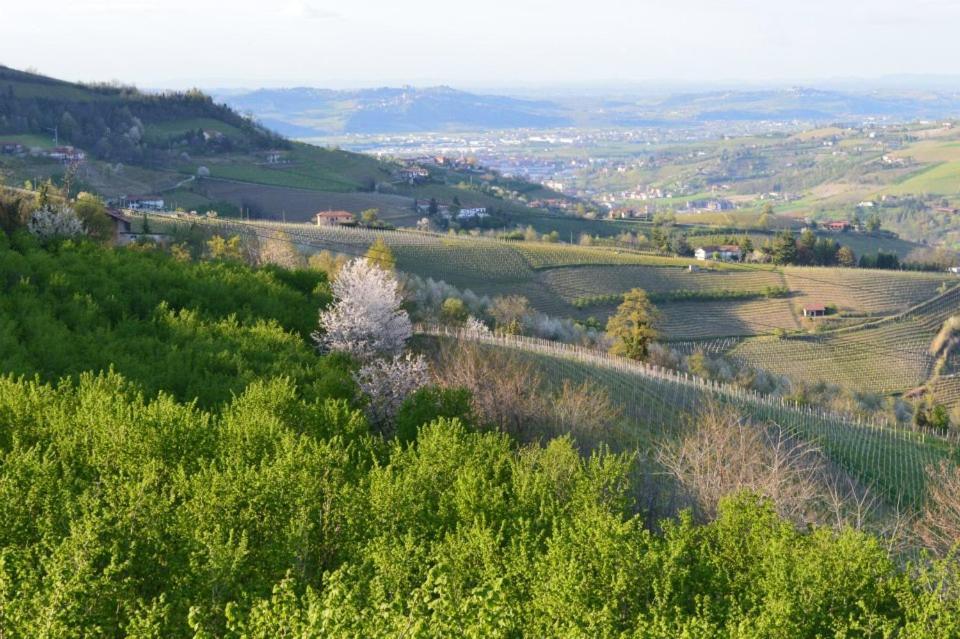 Agriturismo Cascina Rabalot Diano dʼAlba Dış mekan fotoğraf